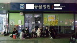 동물병원 강제집행에 보호받지 못한 강아지들, 이들은 ‘물건’에 불과했다