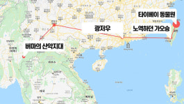 [내가 만난 동남아_7] 버마에서 태어나 대만에서 숨진 아시아 코끼리, 린왕