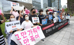 벨루가 그만 다뒤 그만 죽여[포토]