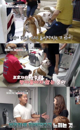 ‘개훌륭’ 강형욱, 마운팅 일삼는 고민견에 “보호자 지배했다고 생각해”