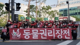 “동물도 생명체다, 식량 취급 말라” 판결문에 새겨진 동물권리
