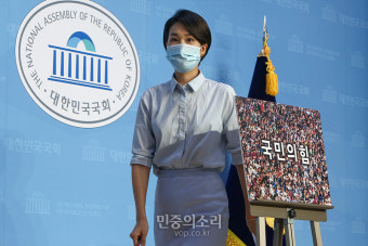 김수민, ‘국민의힘’ 당명 일본 극우단체 표절 논란에 “그럼 정청래는?”