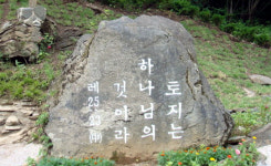 [평화나무 리포트] 부동산을 사랑한 한국 교회에 온 코로나의 경고