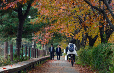 [우리 시대 기억과 공간] 양재시민의숲과 ‘일상의 추념’