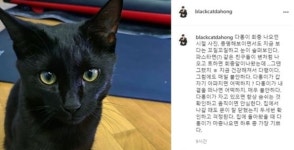 박수홍, “다홍이, 내 곁 떠나면 어떻게 하지...매우 불안”