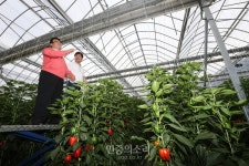 [농사의 종말] ‘스마트팜’은 우리 농업의 미래인가?