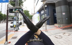 종로구 르메이에르 빌딩 주변 전면 통제