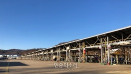 재고 없는 주유소 0.8% 뿐이라는 데 …‘국가 경제 위기’라는 정부