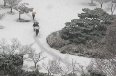 서울 경기 강원 폭설