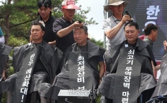 쇠고기 무역장벽 마련하라