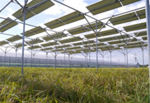 일본과 영농형 태양광 기술 교류한다