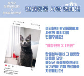 한울본부, 반려동물들에 사랑의 메시지를 전하세요