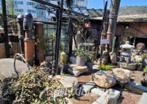 [2023 순천만국제정원박람회] 저전동 정원마을…주민들의 꿈 담은 정원 한가득