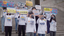 보험사는 석탄·화석연료 보험 중단하라