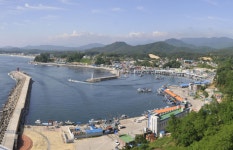 대게와 대구를 따라 떠나는 국가어항 기행, 영덕 축산항 vs 고성 대진항