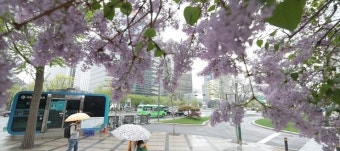 [오늘날씨] 절기상'입하'···어린이날 전국 곳곳 비소식