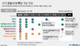 [특징주] 러시아'코로나19 백신 등록' 발표…여행·항공주 '방긋'