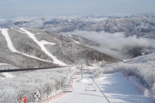 [증권 리포트] 국내 최고 화장품 소재 기술력, 엔에프씨...통신3사 중 상승탄력에 KT 주목  外