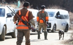 [금일 사건사고 주요기사] 용인서 사육곰 또 탈출 안전 주의...음주·야간외출 금지 위반 전자발찌 성폭행범 영장 外