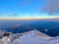 설천봉에 내려앉은 상고대...무주 덕유산리조트 장관
