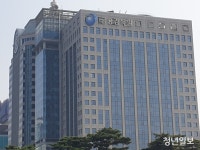 금감원, NH농협생명에 자본적정성 관리 강화 요구