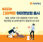질병부터 장례비용까지 보장...현대해상, 다이렉트 하이펫보험 출시