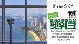 풀무원푸드앤컬처, 강아지의 날 기념 부산엑스더스카이에서 펫위크 행사 개최