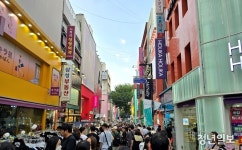 정부 