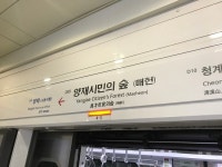 새벽 양재시민의숲역서 소방용 가스 누출...신분당선 정상 운행