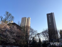 신탁사 해지 두고 집행부 분열까지 '갈등격화'...분당 양지마을 통합 재건축 '안갯속'