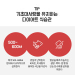 기초대사량 사수 대작전!