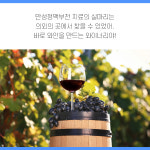 다리 부종·피로감도 치료가 필요한가요? 만성정맥부전의 해답, 포도 농장에서 찾다