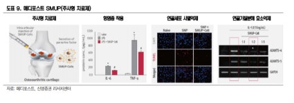 메디포스트, 스멉셀 상용화 기대감 높아져