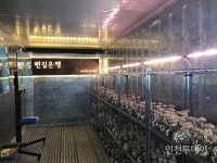 도시재생 산업박람회에서 주목받는 인천 미추홀 청년들