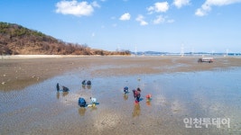 [인천핫플] 바다향기 가득한 갯벌마을 선재도