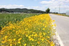 [인천핫플] 평화ㆍ번영으로 가는 길, 강화평화전망대
