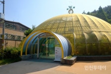 [인천핫플] 인천 유일 나비관찰소 인천나비공원