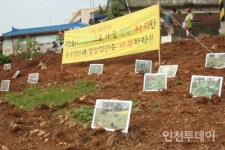 배다리 생태공원 파괴한 동구청은 사과하라