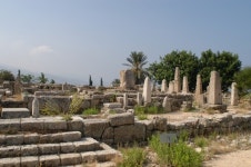 지중해의 꽃 페니키아, 알파벳을 만들다