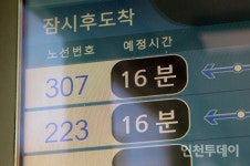 [르포] 고립된 청년들 ··· 인천 영종도 넙디마을을 가다