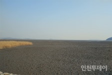 [탐방기] 인천 시조 두루미 겨울나는 동검도