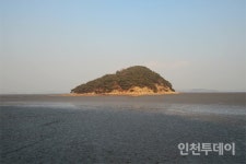[탐방기] 인천 시조 두루미 겨울나는 동검도