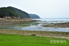 다양한 체험학습이 가능한 섬, 덕적도(하)