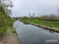 굴포천, 낚시꾼이 버린 쓰레기로 몸살... 법 사각지대