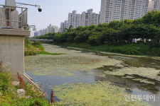 인천 계양 서부간선수로 악취 극심... 수질개선 시급