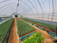 인천환경공단, 서구문화재단과 청라소각장 생태학습지 활용