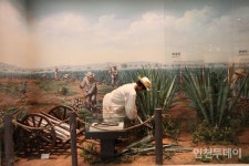 [연재] 일제강점기 하와이는 숨은 독립운동기지