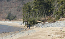 강화군 볼음도 영뜰해변 해안침식 심각...원인규명 시급