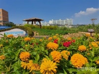 인천농업기술센터, 6월 8일부터 도시농업 프로그램 운영