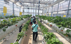 인천농업기술센터, 3~4월 어린이 농부교실 참가자 모집